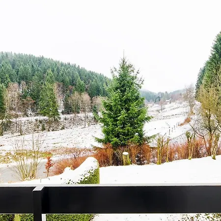 Gemütlich - Mountainbike - Pool&sauna - Netflix